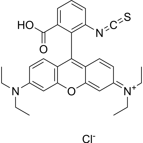 Rhodamine B isothiocyanate (Rhodamine B isothiocyanate) 36877-69-7